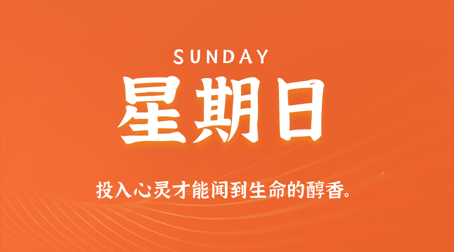每日新闻早报Array